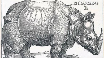 Dürer schuf seinen berühmten Rhinozeros-Holzschnitt 1515 nach einer brieflichen Beschreibung.