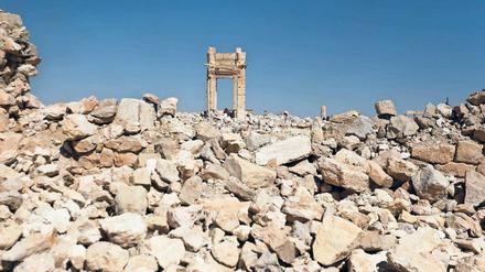 Bestandsaufnahme in Palmyra. Was vom Tempel blieb, entscheidet auch über die Art und Weise des Wiederaufbaus – als Mahnmal oder Kopie. 
