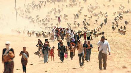 Jesiden fliehen im Nordirak vor den IS-Terrormilizen in Richtung syrische Grenze.