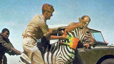 Screenshot aus dem Video „Zebra“, 2006.