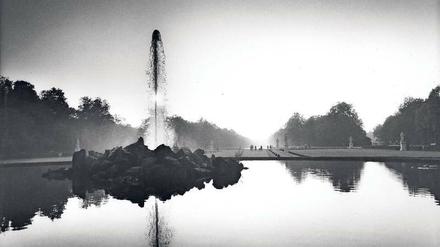 Streng geordnete Welt I. Bild aus einer Serie über die Gartenanlage von Nymphenburg. 