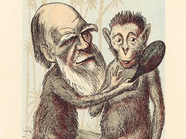 Abstammung vom Affen. Zeitgenossen haben Darwin verspottet.