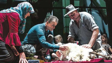 Ausbluten lassen. Milo Raus Inszenierung „Lam Gods“ am NTGent zeigt die Schlachtung eines Lamms.