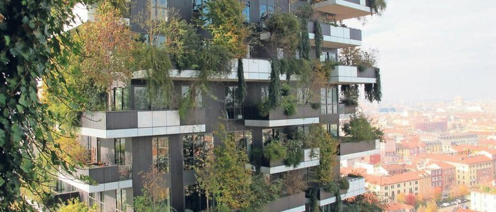Das andere Baumhaus. In Mailand steht der „Bosco Verticale“, der vertikale Wald des italienischen Architekten Stefano Boeri. Pflanzen spenden Schatten und bilden Sauerstoff. Er könnte Vorbild für das „Europäische Bauhaus“ sein.