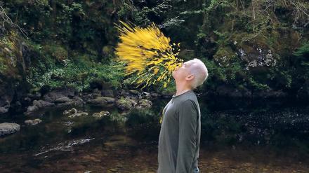 Farbfontäne. Andy Goldsworthy liebt das Gelb der Ulmenblätter.
