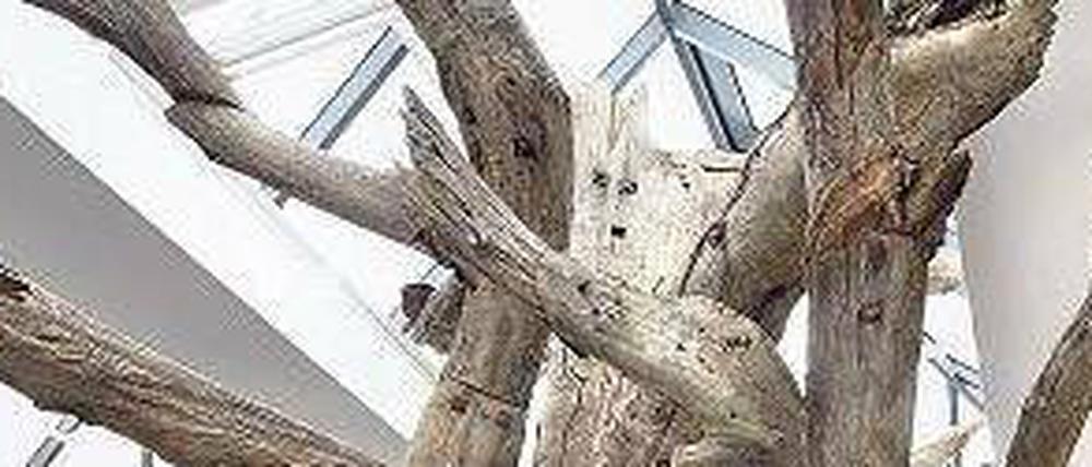Überlebensgroß. Die Installation des in Peking verschleppten Ai Weiwei bei Neugerriemschneider bringt totes Holz und Porzellan zusammen. 