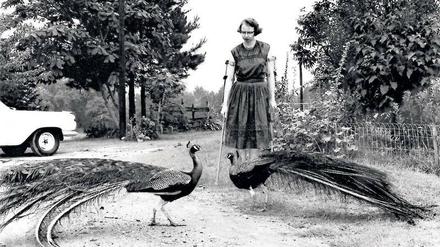 Politische Korrektheit war ihr fremd. Flannery O'Connor auf ihrer Andalusia genannten Farm in Georgia (1962). 