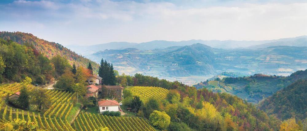 Schauplatz der meisten Pavese-Romane: Die Langhe, die Hügel um Turin herum im Piemont