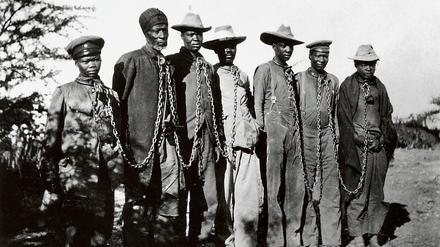 Elend in deutschen Ketten. Gefangene des Herero-Aufstands von 1904 in Deutsch-Südwestafriak, dem heutigen Namibia.