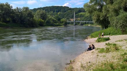 Die Donau bei Bad Abbach.