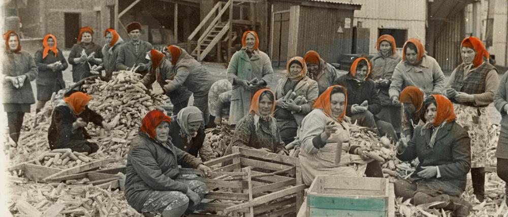 Viktor and Sergiy Kochetov, “Hardworking Women, Builders of Communism, Diligently Sorting Harvest and Having No Clue There are Beautiful Clouds Above Them”, 1978 (coloured 1980s-1990s), gelatin silver print, hand-coloured, 30×40 cm. Collection of the Museum of the Kharkiv School of Photography, Kharkiv, Ukraine