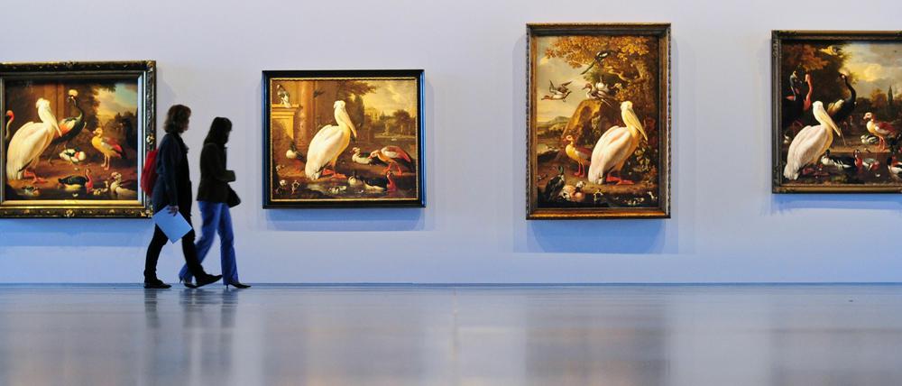 Pelikane des niederländischen Malers Melchior d'Hondecoeter in de Rooijs Installation "Intolerance".