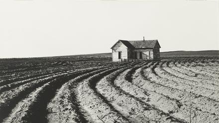 Dorothea Lange. Tractored Out, Childress County. 1938.