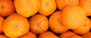 Die Haut von Orangen gibt Kuchen eine spritzige Note - Orangenhaut bedeutet das Gegenteil von frisch.