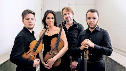 Botschafter der Staatskapelle: Die Violinisten Wolfram Brandl und Krzysztof Specjal, Yulia Deyneka mit der Viola; und Claudius Popp am Cello.