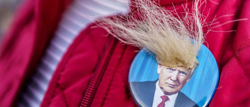 Die Frisur ist das geringste Problem an Donald Trump.