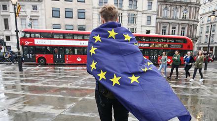 Auch Briten sind Europäer. In London und überall in Großbritannien warnen viele Kultureinrichtungen, Forschungsinstitutionen und Universitäten vor den Gefahren des Brexit.