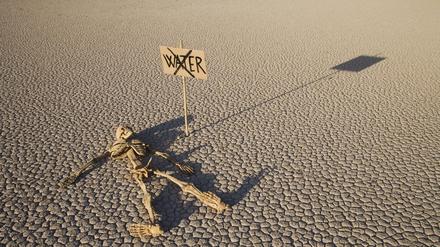Kein Wasser, kein Leben: Szenerie im kalifornischen Death Valley, dem Schauplatz von Percival Everetts Roman "Erschütterung" 