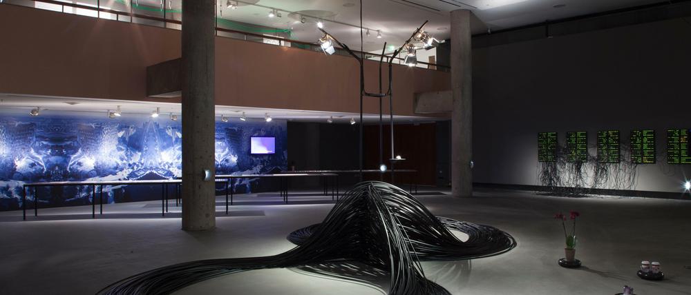 Digital-analoges Gedärm. Ein Blick in die Ausstellung "Alien Matter" im Haus der Kulturen der Welt. 