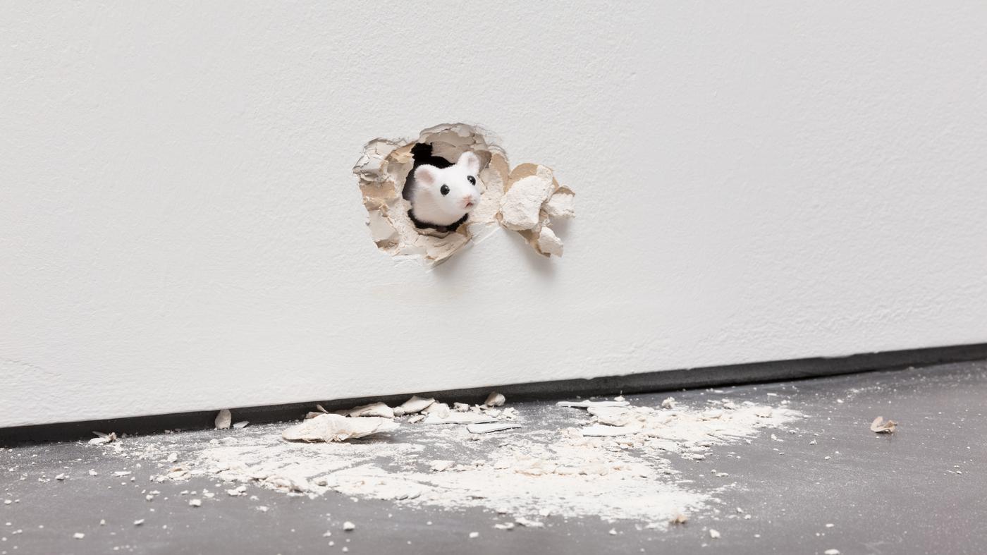 Die Ausstellung „Transformers“ in BadenBaden Maus trifft Kerze