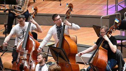 Musik ist Identität. Die Kontrabassisten haben beim Konzert in der Berliner Philharmonie Fähnchen an ihre Instrumente gesteckt. 