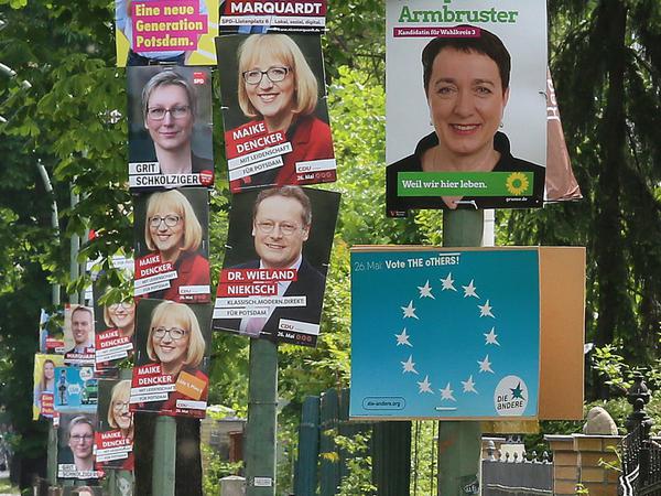 Wahlplakate in der Geschwister-Scholl-Stra Potsdam.