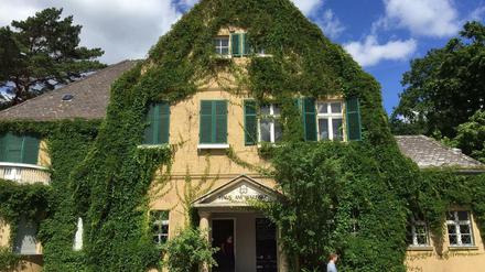 Das Haus am Waldsee bekommt 100.000 Euro vom Hauptstadtkulturfonds für eine Ausstellung mit Tobias Rehberger.