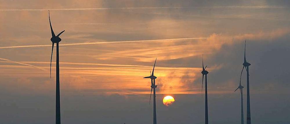 Windräder vor Sonnenuntergang - wie sieht die Zukunft der großen Stromkonzerne aus?
