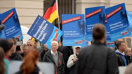 Anhänger der AfD demonstrieren im Jahr 2015 vor dem Landtag in Potsdam (Brandenburg).
