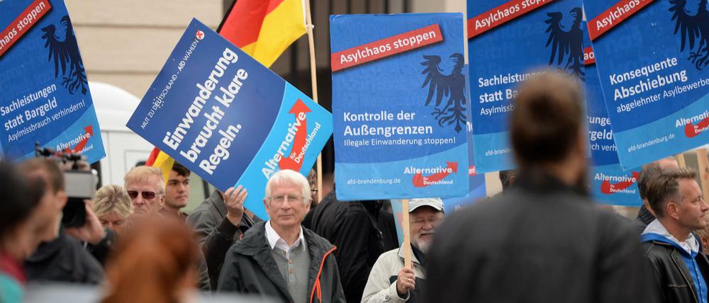 Anhänger der AfD demonstrieren im Jahr 2015 vor dem Landtag in Potsdam (Brandenburg).