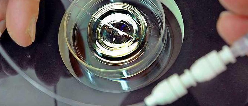 In einem biologischen Labor wird ein Katheter mit vorher kultiviertem Embryo für einen Embryotransfer befüllt.