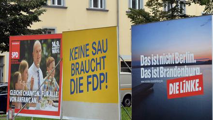 Wahlwerbung der FDP in Brandenburg