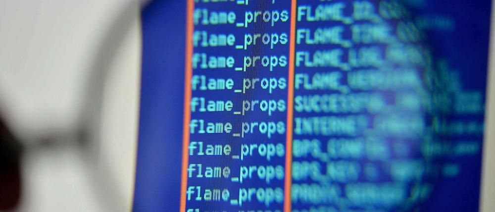 Gefahr im Netz: Der Flame-Code bereitet Sicherheitsexperten Kopfschmerzen.
