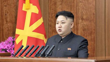 Er sieht eine glänzende Zukunft für sein Land: Kim Jong Un.