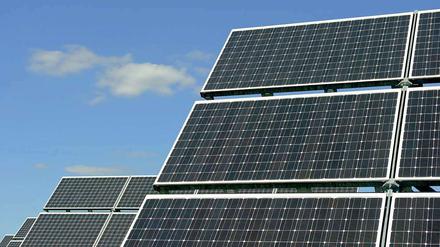 Solarzellen sind ein wichtiger Bestandteil der grünen Industrierevolution.
