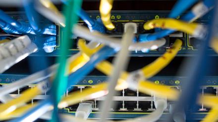 Netzwerkkabel stecken am 16.10.2015 in einem Serverraum in München (Bayern) in einem Switch. Nach jahrelangem Streit und gegen den scharfen Protest von Opposition und Datenschützern hat der Bundestag eine Wiedereinführung der Vorratsdatenspeicherung beschlossen. 