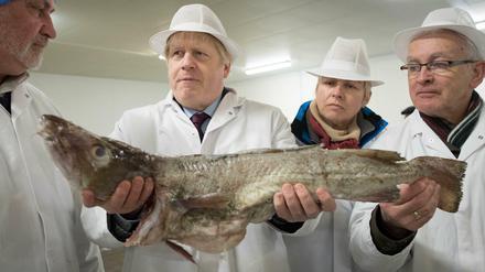 Für Boris Johnson ist es wichtig, dass die Fangrechte britischer Fischer in den eigenen Gewässern ausgeweitet werden.