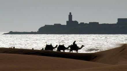Marokkanische Idylle: Kamelreiter am Strand von Essaouira. 