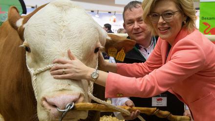 Tätschelt die Ministerin, freut sich das Rind - oder nicht? Die Grüne Woche ist für Agrarministerin Julia Klöckner Pflicht - anders als der Einsatz für nachhaltige Landwirtschaft. 