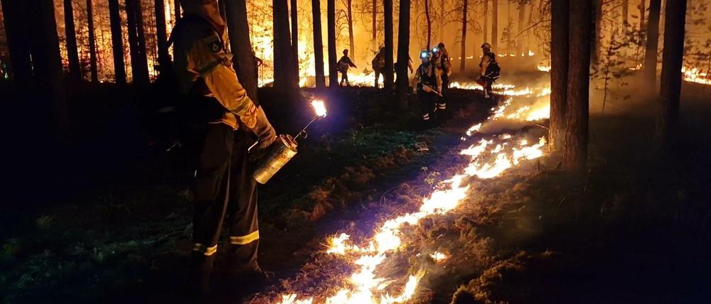 Brandenburg, Beelitz: Einsatzkräfte der Hilfsorganisation @fire legen Gegenfeuer, um eine weitere Ausbreitung des Waldbrandes zu verhindern und die Feuerwehr bei der Bekämpfung des Feuers zu unterstützen. Der Waldbrand bei Beelitz (Potsdam-Mittelmark) ist mittlerweile unter Kontrolle.