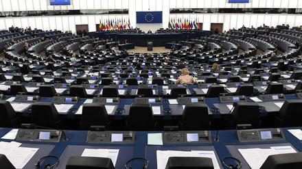 Im kommenden Jahr wird das Europaparlament neu gewählt.