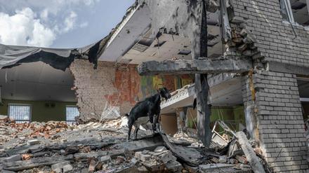 Trümmer eines Gebäudes in der südukrainischen Region Mykolajiw