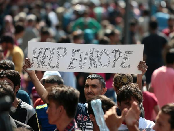 Tschechien markiert Flüchtlinge mit Nummern und löst dadurch Empörung aus. Auf diesem Bild zu sehen: Ein Flüchtling in Budapest hält das Schild "Help Europe" hoch.