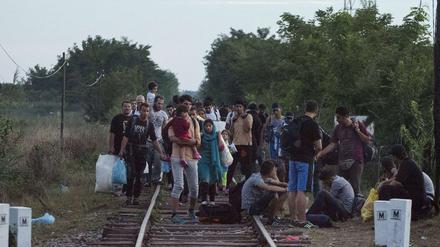 Entlang einer Bahnstrecke passierten die Migranten die Grenze zur EU.