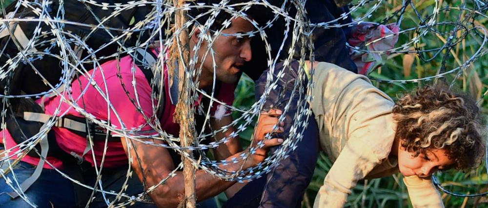 Tausende Flüchtlinge versuchen derzeit, die Grenze von Serbien ins EU-Land Ungarn zu überqueren.