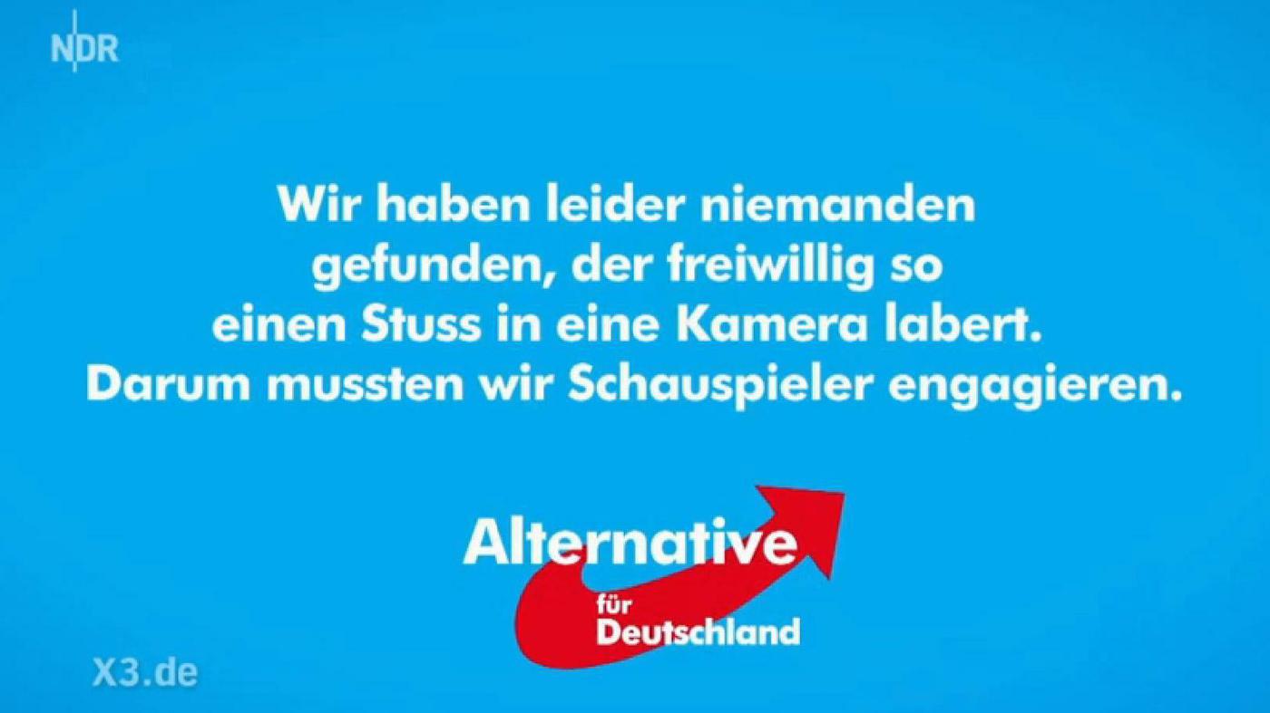 Alternative für Deutschland: Der Wahlwerbespott der AfD
