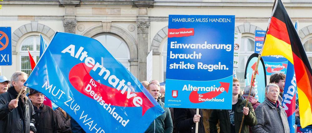 "Mut zur Wahrheit": Anhänger der AfD demonstrieren 2015 in Hamburg während einer Kundgebung.