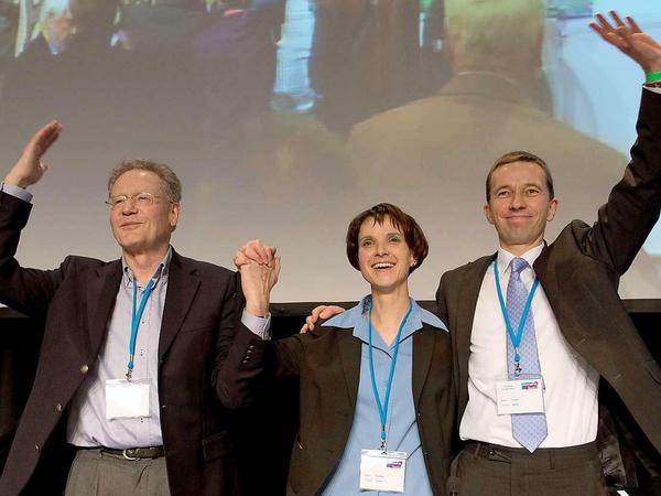 Konrad Adam (l.), Frauke Petry und Bernd Lucke haben derzeit den Vorsitz der AfD inne.