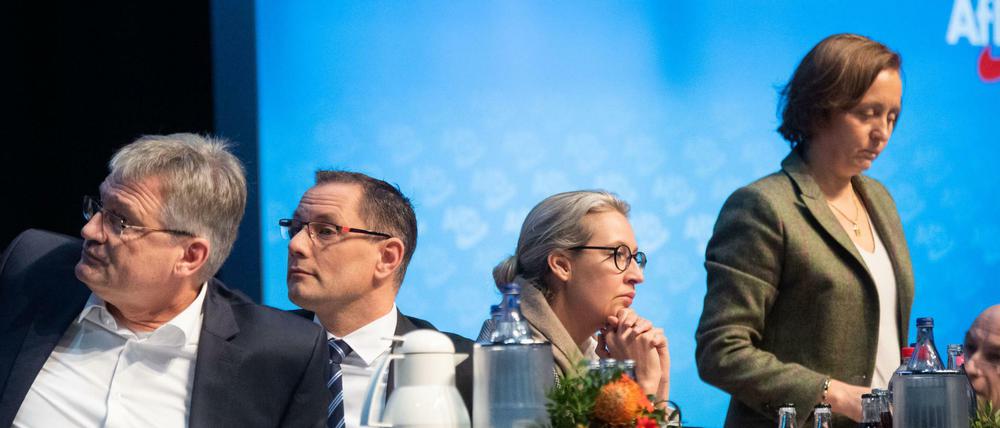 Die Führungsriege der AfD um Jörg Meuthen (l.n.r.), Tino Chrupalla, Alice Weidel und Beatrix von Storch. 
