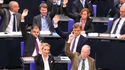 Die AfD-Fraktion im Bundestag - noch zu Vor-Corona-Zeiten.